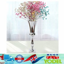 Large Stunning Silver Iron