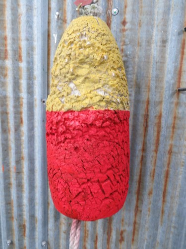 Authentic medium dungeness - authentic,