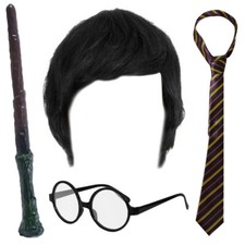 ADULTS WIZARD COSTUME SET