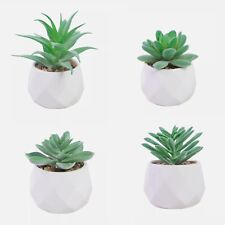 Artificial Green Succulents