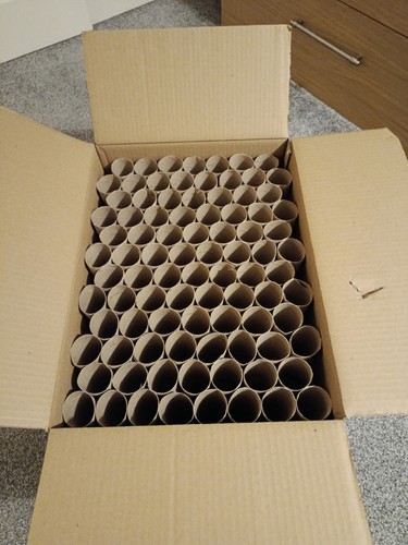 270empty toilet roll - toilet, cardboard