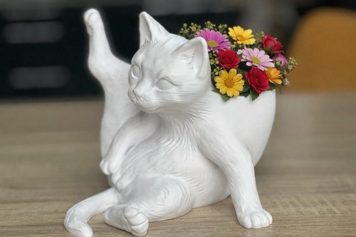 Yoga cat printed - 3d, flower