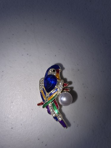 New colourful parrot bird - colourful,
