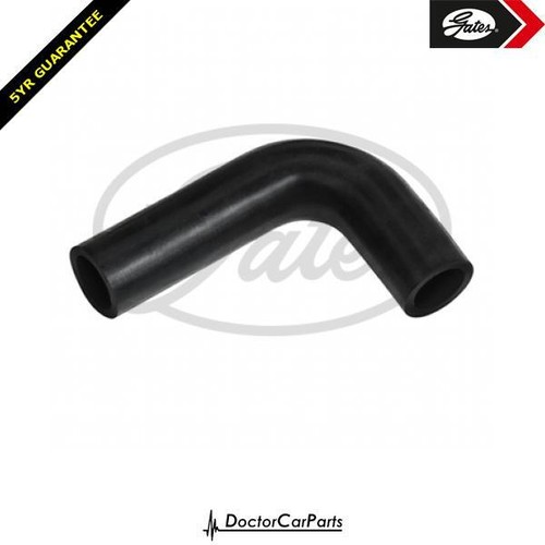 Radiator hose pipe upper for - pipe,