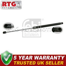 Tailgate Gas Strut Fits Ford