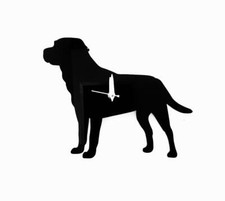 Labrador Dog Wall Clock In Black Acrylic Gift