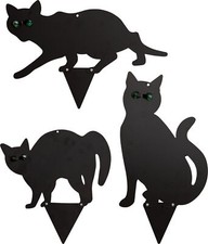 Garden Bird Cat Animal Small