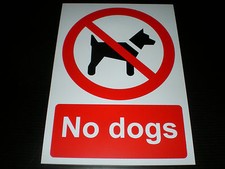 No Dogs Plastic Sign Or