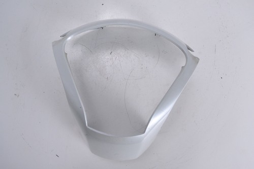 Speedo clock fairing cowl