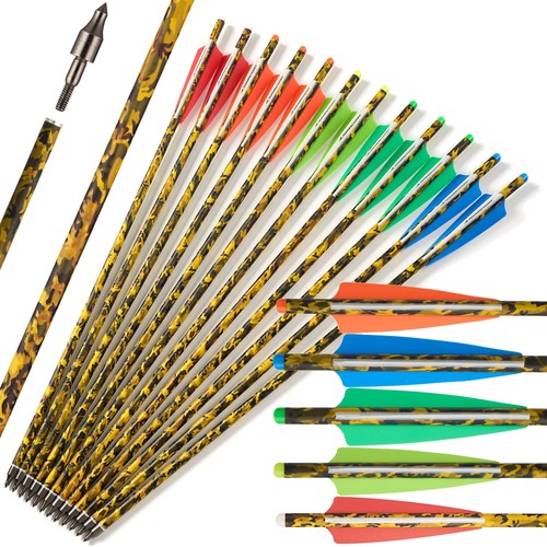 Inch carbon arrows - inch,