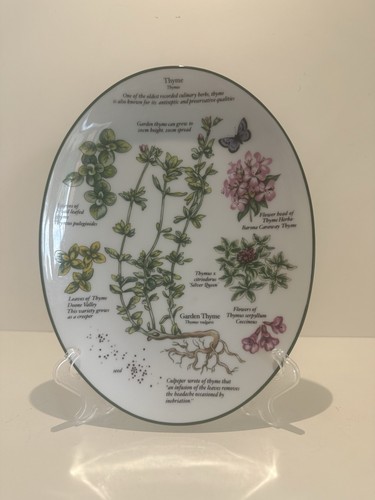 Royal worcester herbs thyme - royal,