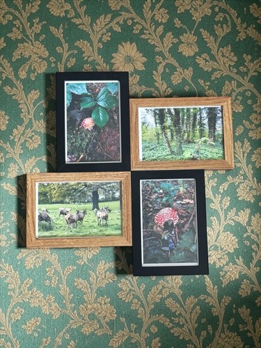 Woodland collage frame set - collage,