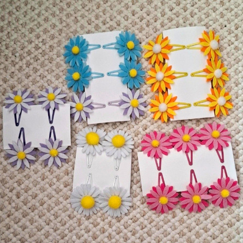 Multicolour daisy flower snap - flower,