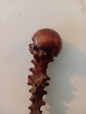 Antique Irish black thorn