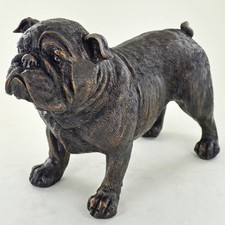 Large Bulldog Dog Standing