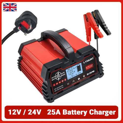 25a 12v 24v car - smart, battery