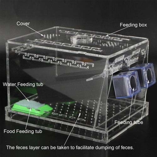 Acrylic feeding cricket - l,