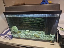 70l Juwel Fish Aquarium  with Heater, Air Pump And In Tank Filter