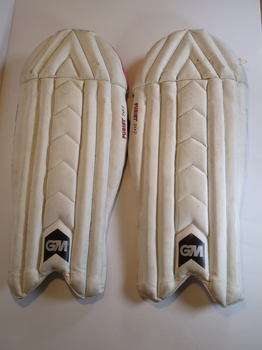 Purist 707 junior cricket - gm,