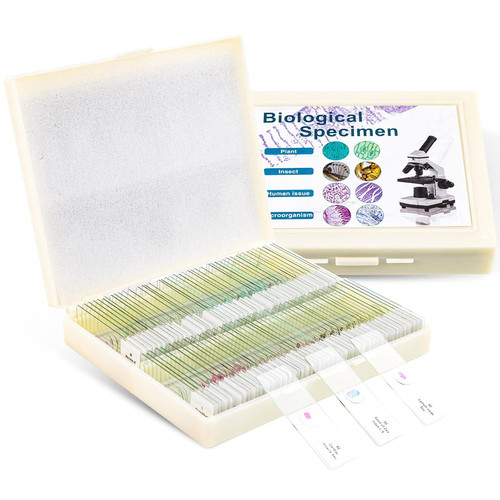 100 prepared microscope slides - 100,