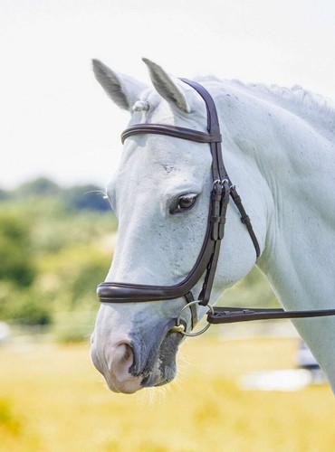 Shires velociti rapida - shires,