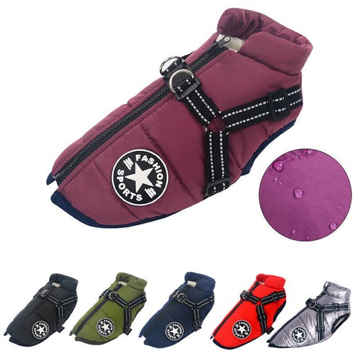 Pet dog vest puppy - pet,