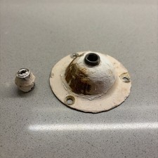 Vintage Ceiling Light Canopy