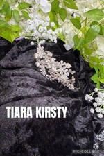 Delicate Sparkling Silver