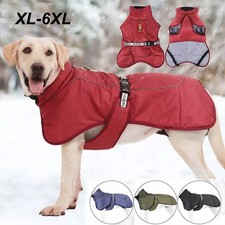 Pet Jacket Large Dog