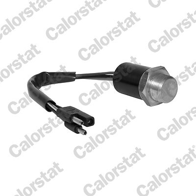 Temperature switch radiator - temperature,