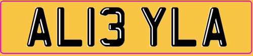 Leyla registration number - leyla,