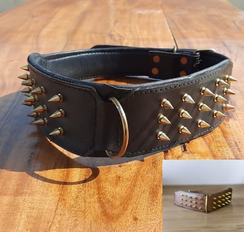 Leather dog collar - collar, large