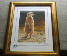 Stephen Gayford Signed Limited