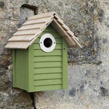 New England Nest box WildLife