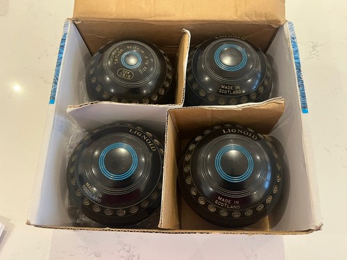 Thomas taylor lignoid size - 4,