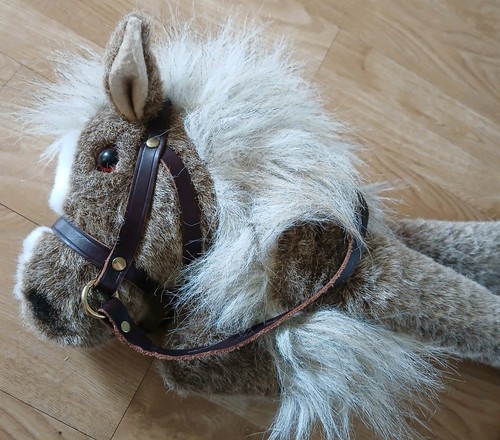 Riding pony wrap - pony,, around