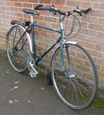 51cm Thorn Brevet 531