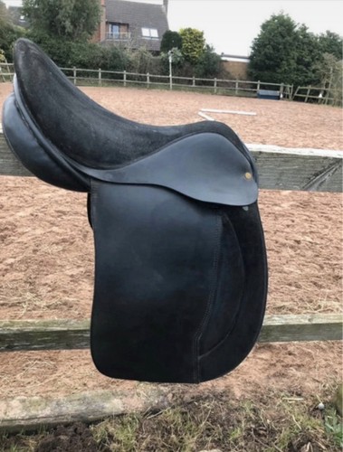 Black showing saddle - black,