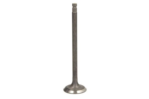 Intake valve 6739 - rnt, fits