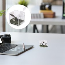 Spider Terrarium Living Place