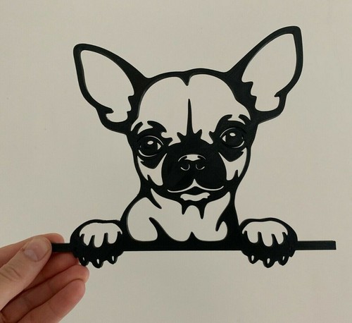 Chihuahua the edge dog - on,