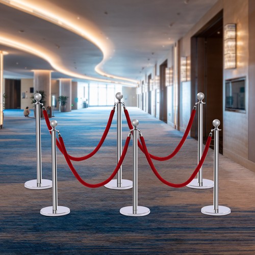 Silver 6pcs stanchion - silver,