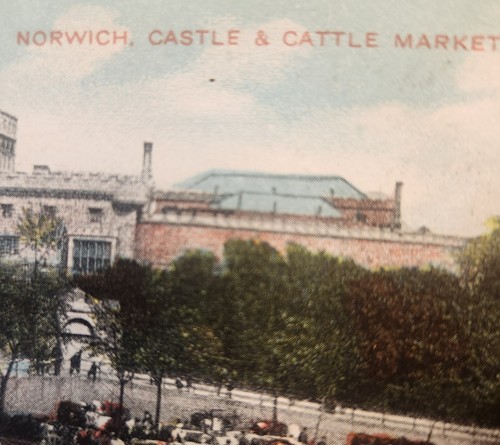 Norwich england castle - england,