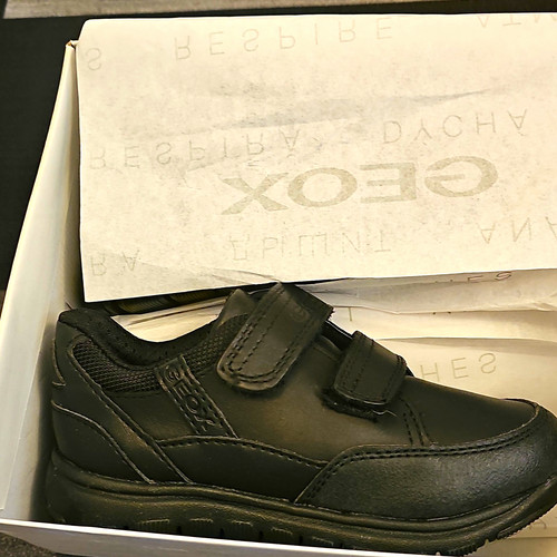 Geox xunday respira low top - xunday,