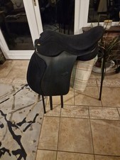 Enlightened Equitation