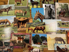 Postcard Bundle / Joblot of 12 x Horses / Ponies / card crafts