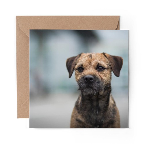 Blank greeting card - blank, border