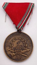 HUNGARY FIRE BRIGADE LONG