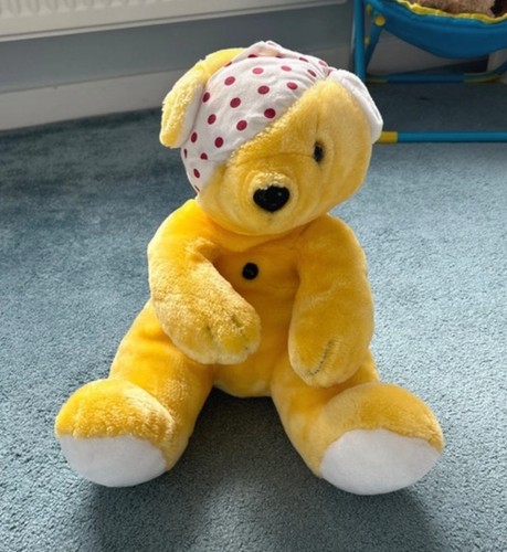 Pudsey bear soft toy - soft,
