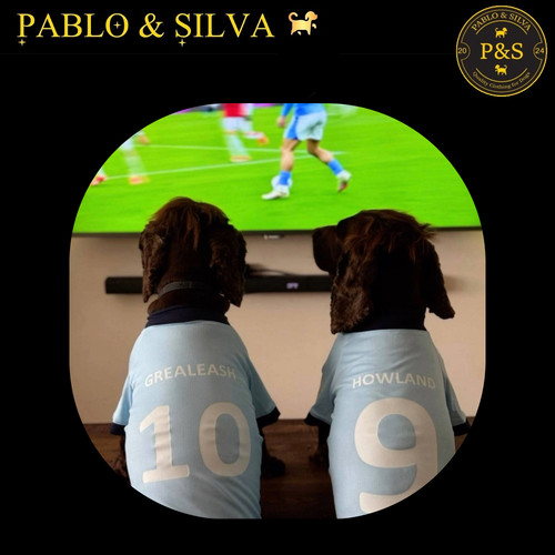 Manchester city football - manchester,